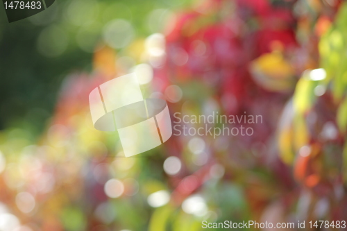 Image of autumn color blur
