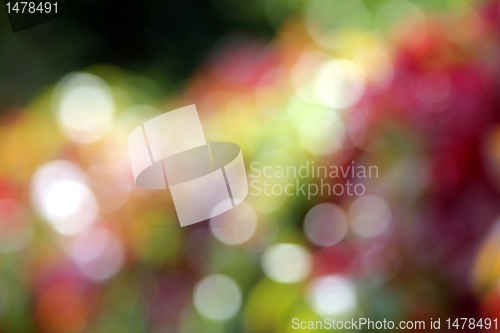 Image of autumn color blur