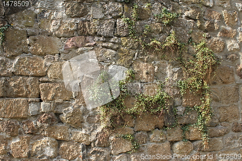 Image of stone texture