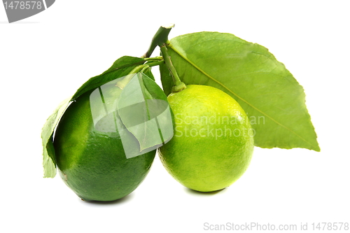 Image of Two lemons.