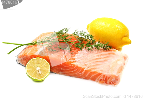 Image of Fresh salmon fillet with herbs.