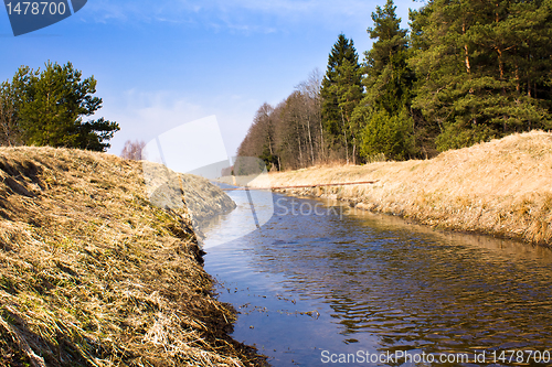 Image of The small river (spring)