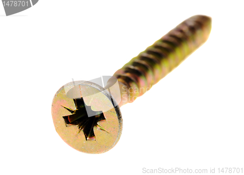 Image of The screw