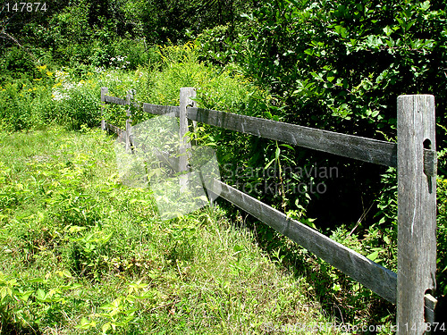 Image of fence 4