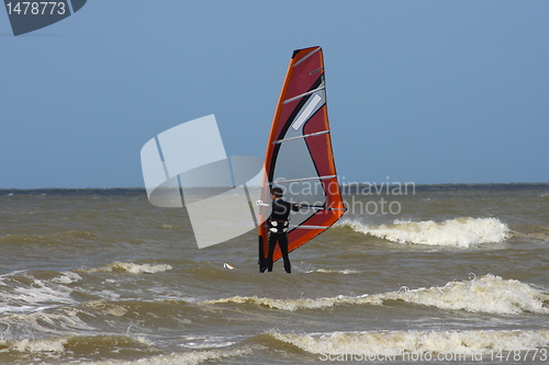 Image of wind surfer