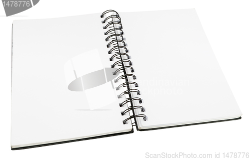 Image of Blank Diary