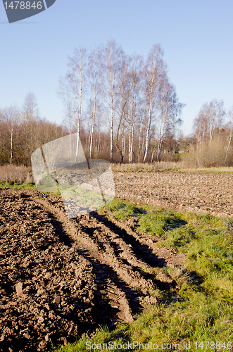 Image of Plowed fields, grassland and birch trees in autumn