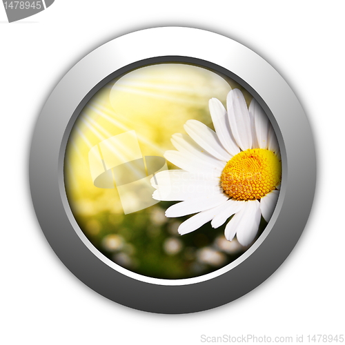 Image of flower