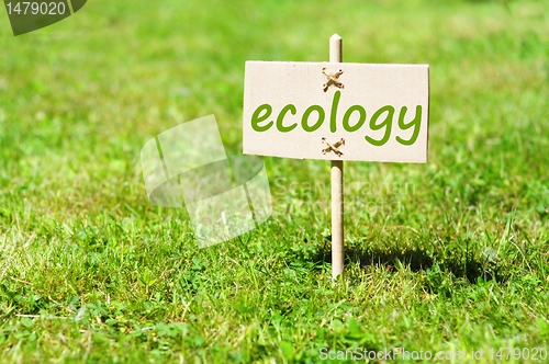 Image of ecology