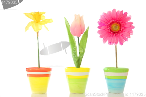 Image of flowers in pot