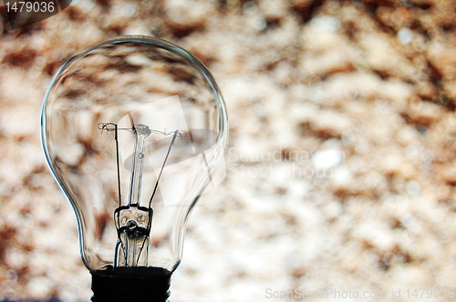 Image of bulb