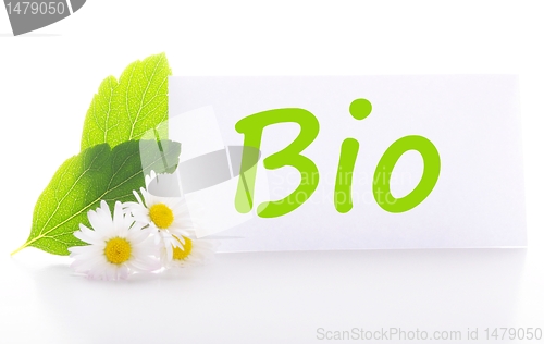 Image of bio