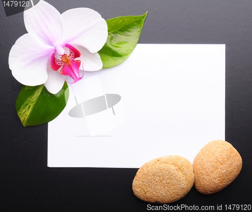 Image of zen or spa