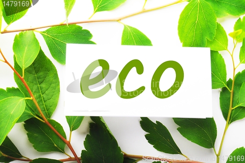 Image of eco