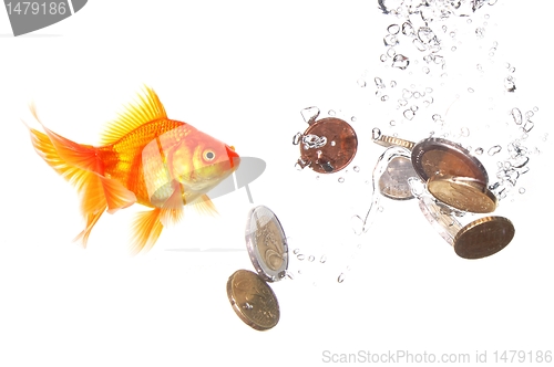 Image of goldfish and money