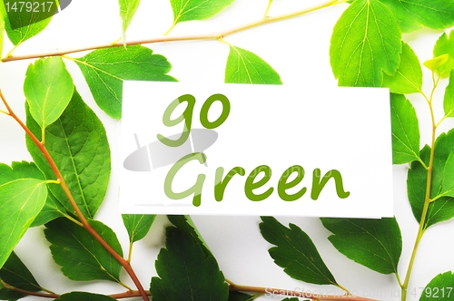 Image of go green
