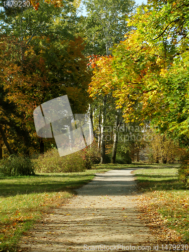 Image of path in park