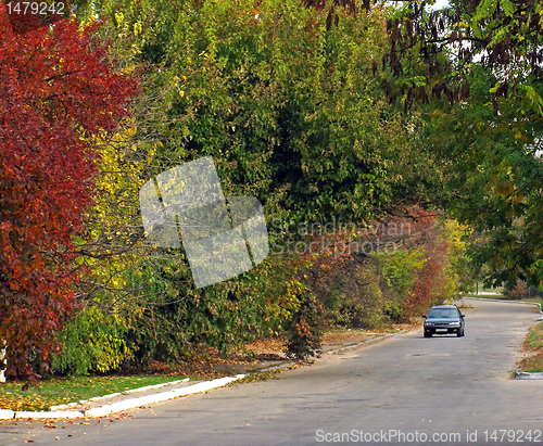 Image of autumn in town