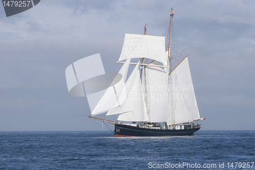 Image of Tall ship in the sea