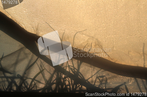 Image of inside the tent