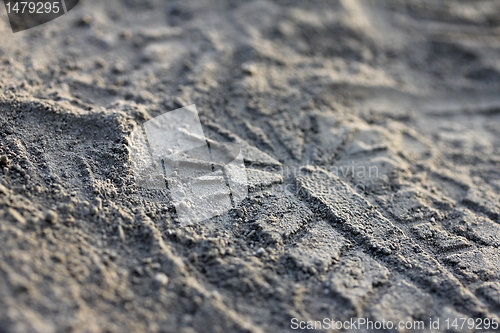 Image of tracks in the dirt