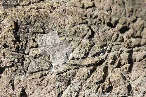 Image of rock texture