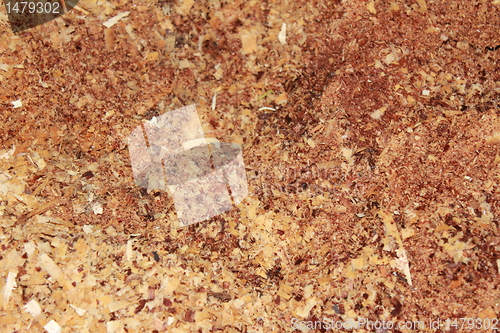 Image of small animal bedding texture