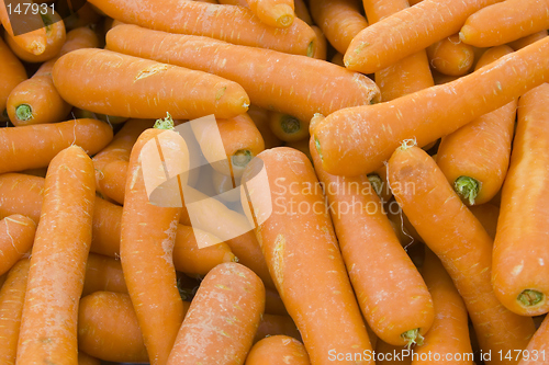Image of Carrots