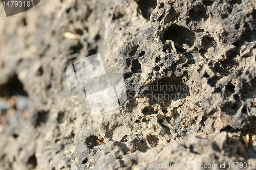 Image of sunny wall texture