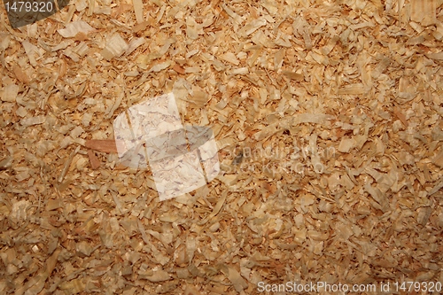 Image of small animal bedding texture