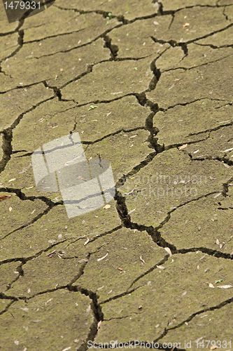 Image of dry ground texture