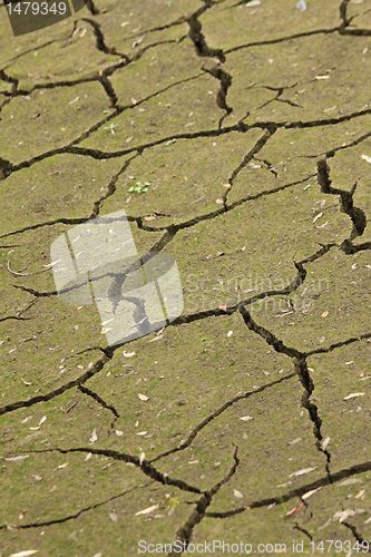 Image of dry ground texture