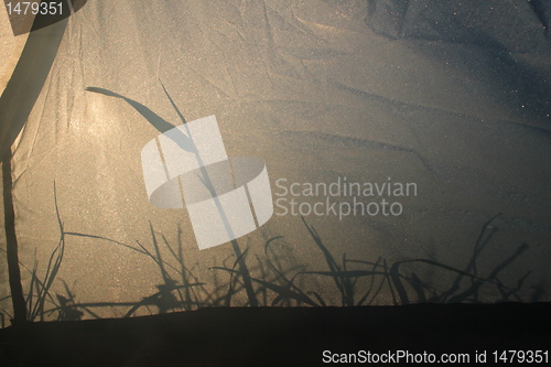 Image of inside the tent