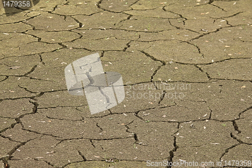 Image of dry ground texture