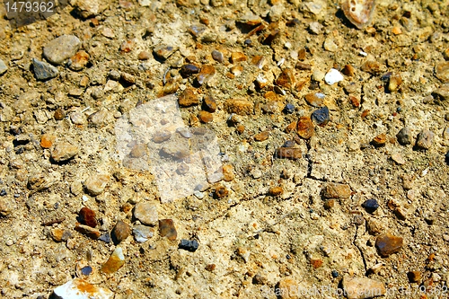 Image of dry ground texture