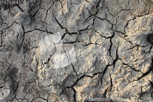Image of dry ground texture