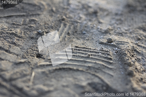 Image of tracks in the dirt