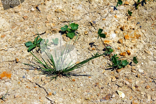 Image of dust from cracks