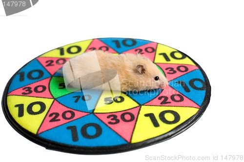 Image of Hamster on the dartboard