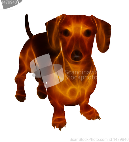 Image of Isolated Golden Neon Glow Image of Miniature Dachshund