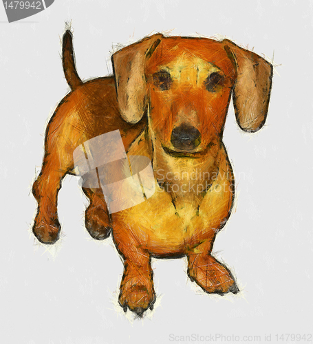 Image of Isolated Pencil Drawing of Miniature Dachshund
