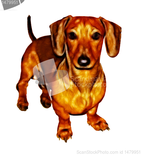 Image of Isolated Crayon Drawing Painting of Miniature Dachshund