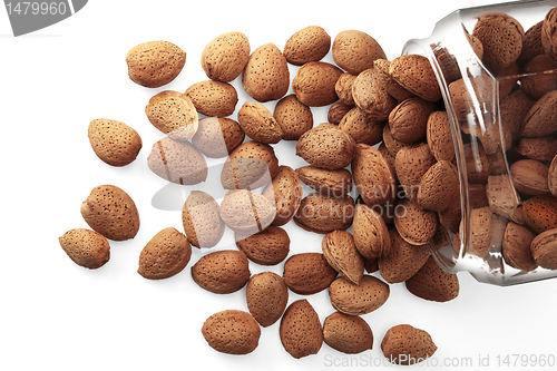 Image of Almonds