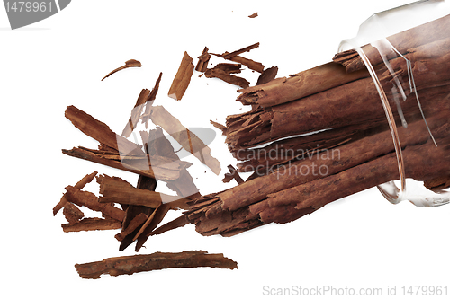 Image of Cinnamon 