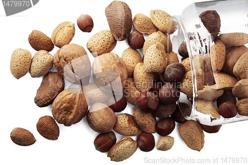 Image of Selection of nuts 