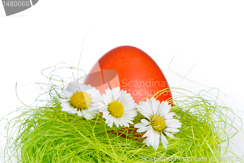 Image of easter egg in nest