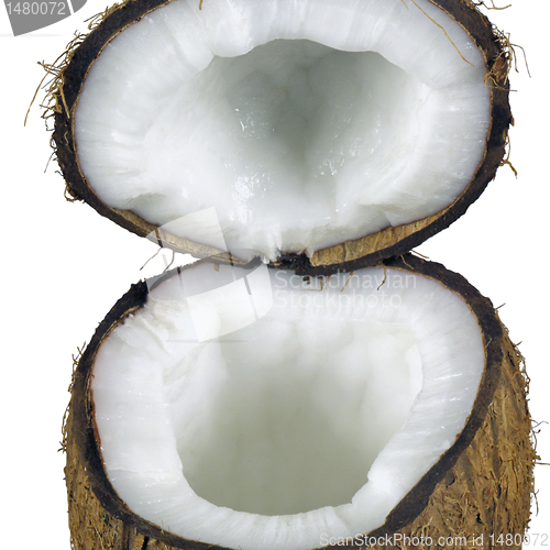 Image of coconut