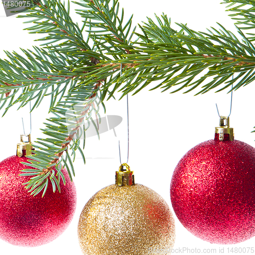 Image of red christmas ball hanging from tree