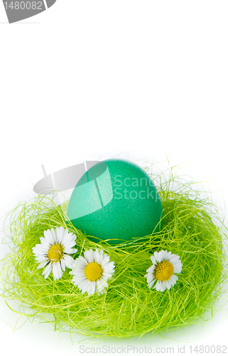 Image of easter egg in nest