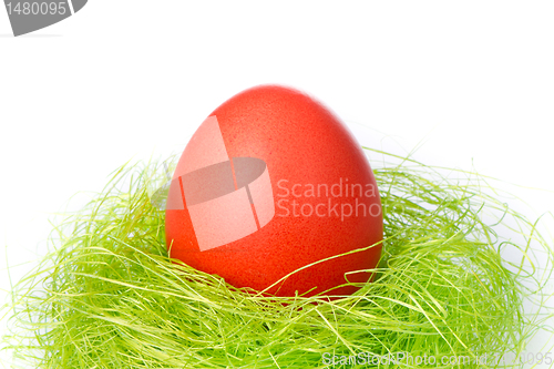 Image of easter egg in nest
